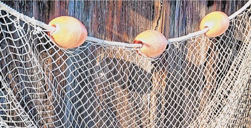 La Carità, espressione di corresponsabilità ecclesiale