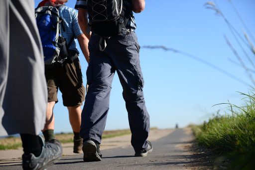 Schema Omelia Primo novembre 2021