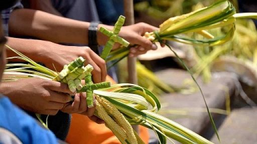 Domenica delle Palme 10 aprile 2022 – Spunti di riflessione