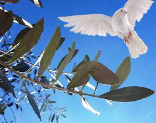 Domenica delle Palme Orario celebrazioni