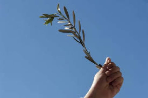 DOMENICA DELLE PALME – BENEDIZIONE DELL’ULIVO