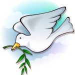 Celebrazione delle Palme e Camminata per la Pace